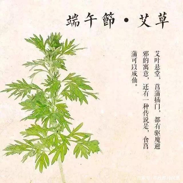 端午到，恭祝大家端午安康！