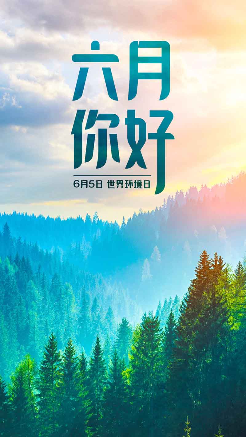 六月正当万物峥嵘，挥洒汗水砥砺前行